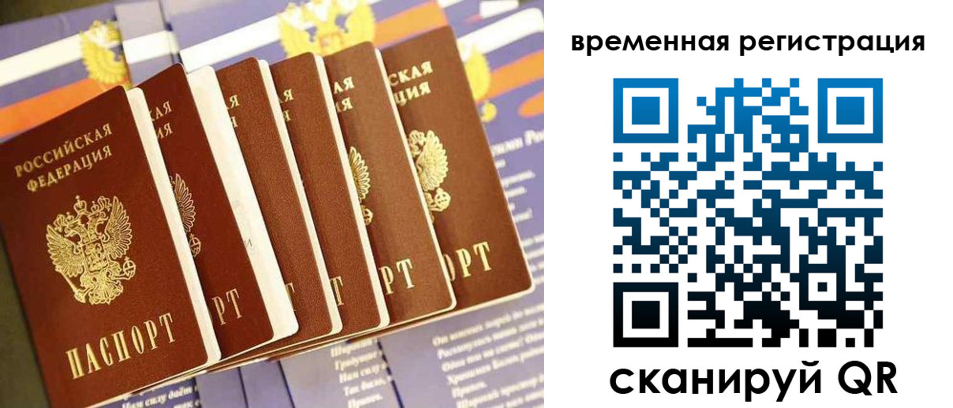 временная регистрация поиск в Невеле